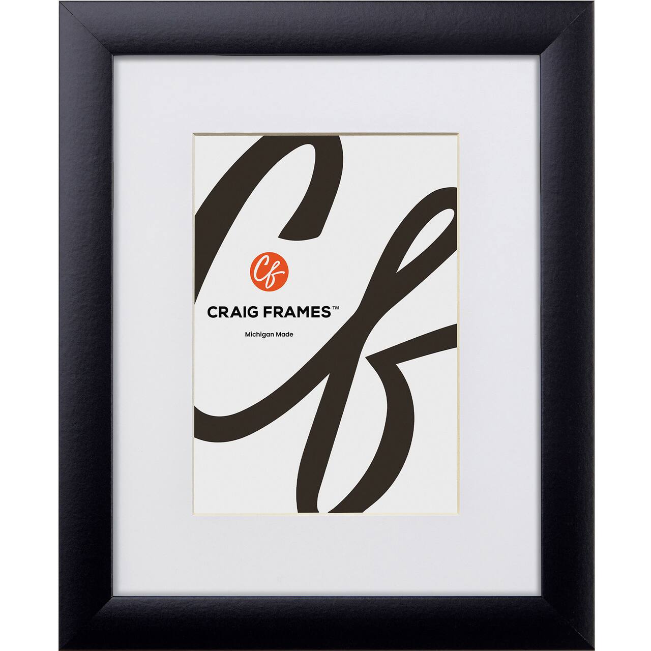 Craig Frames Contemporary Gallery Black Picture Frame with Mat